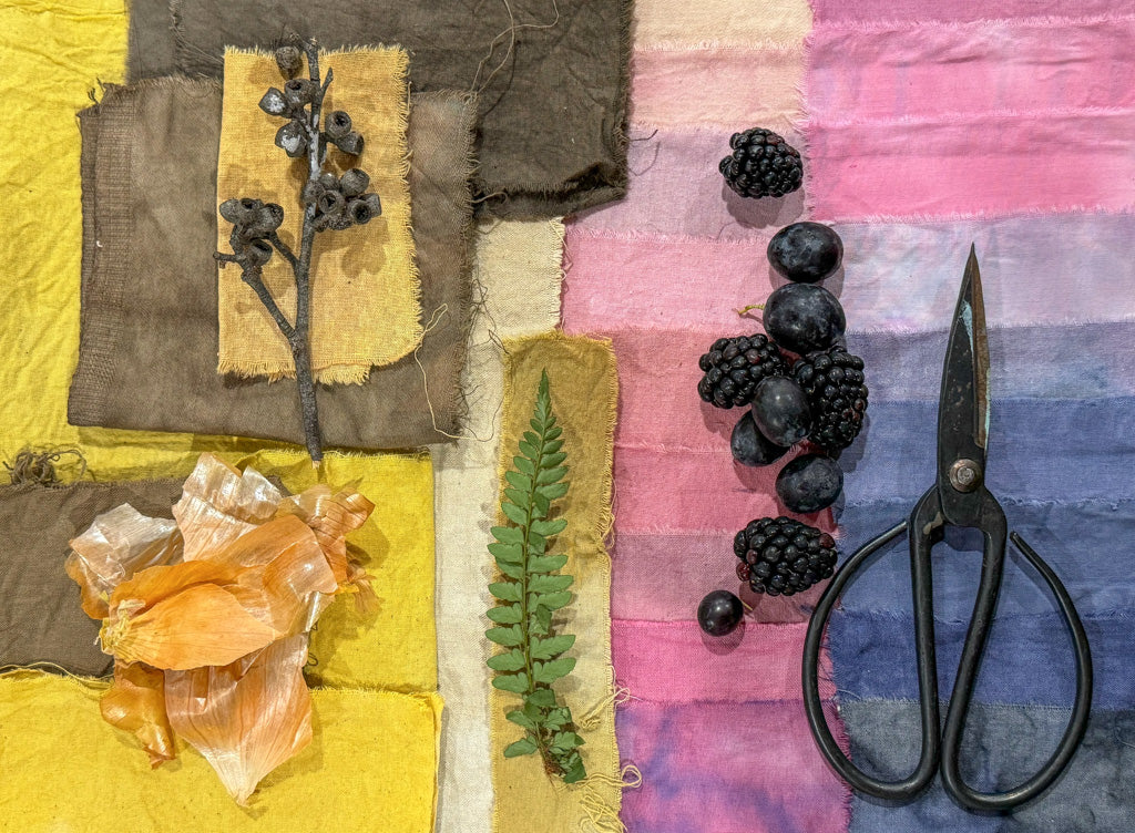 Twig + Tale Storytellers: Exploring colour with wild dyes