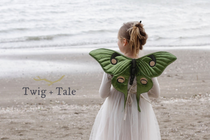 Introducing the Nature Wings Collection