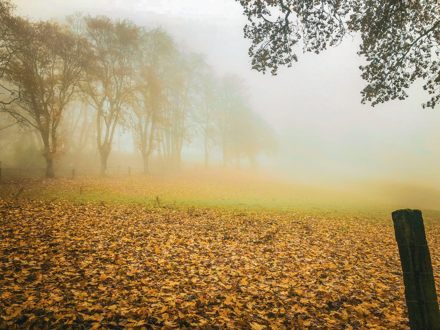 Twig + Tale Storytellers - Layering Fabrics: when seasons change