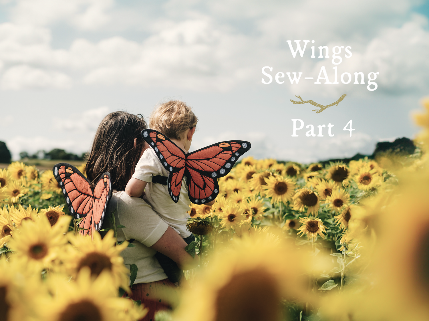Wings Sew-Along: Part 4 - Appliqué