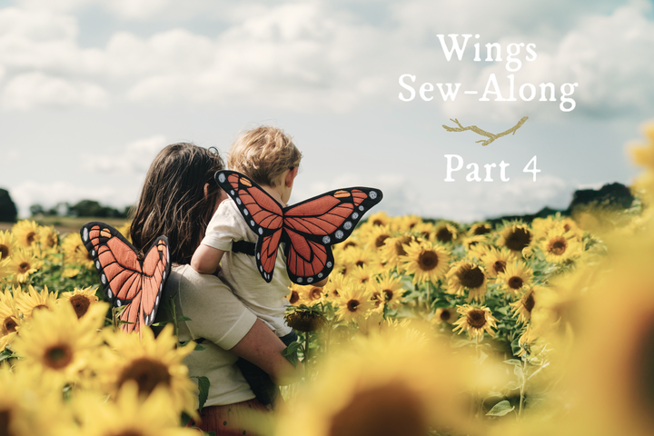 Wings Sew-Along: Part 4 - Appliqué