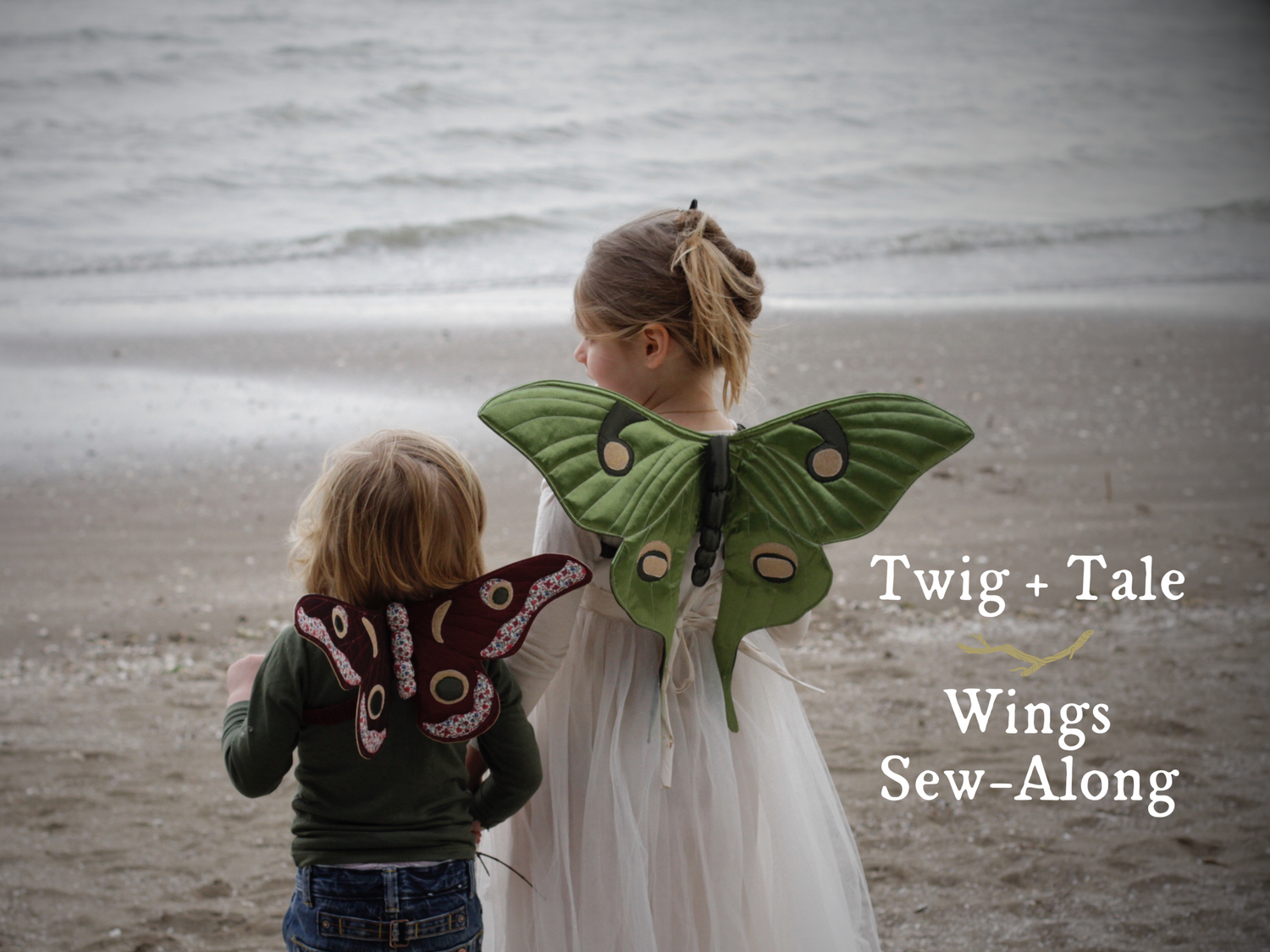 Welcome to the Wings Sew-Along