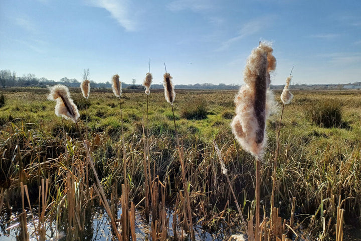 Twig + Tale Storytellers - A cloak with a story of the Great Fens to tell