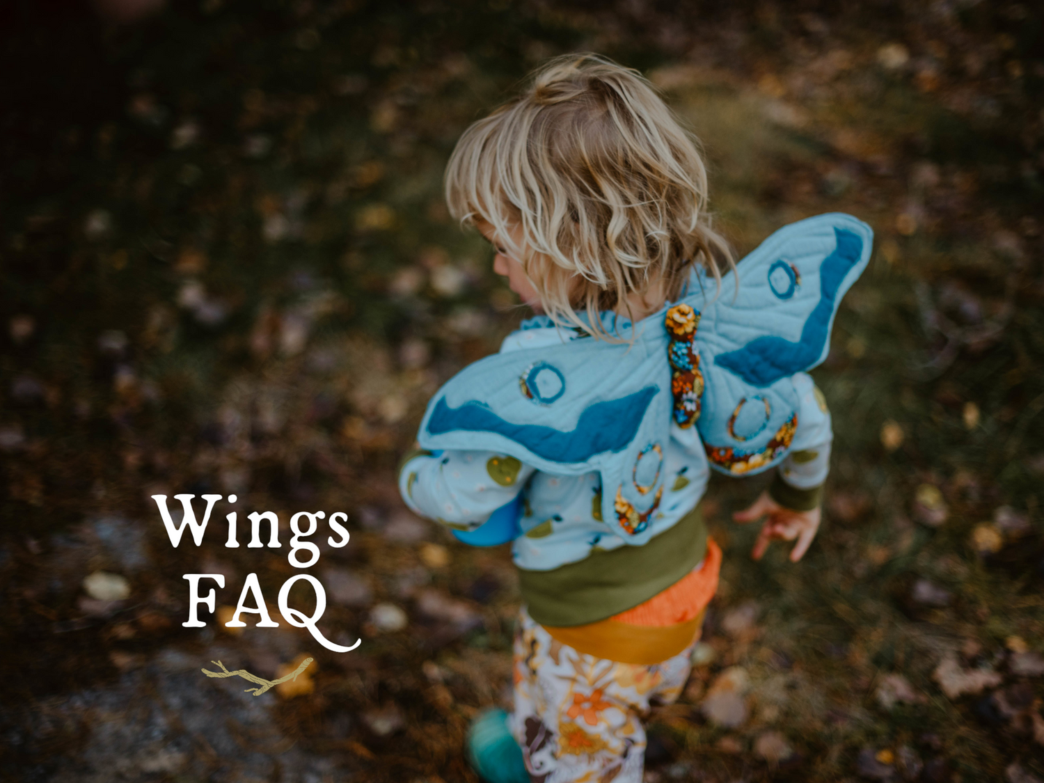 Wings Sew-Along - FAQ