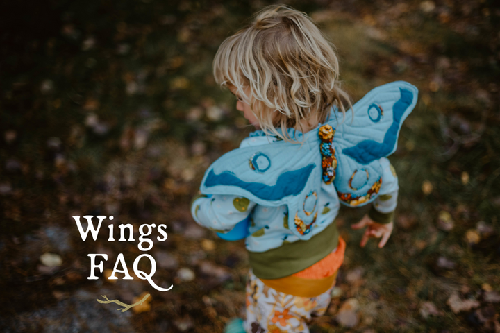 Wings Sew-Along - FAQ