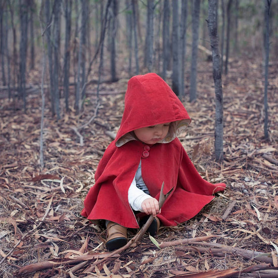 Reversible Medieval Cloak